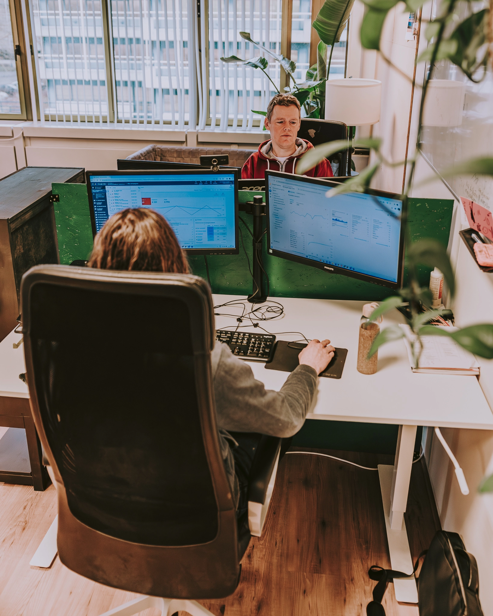 Tree Online aan het werk
