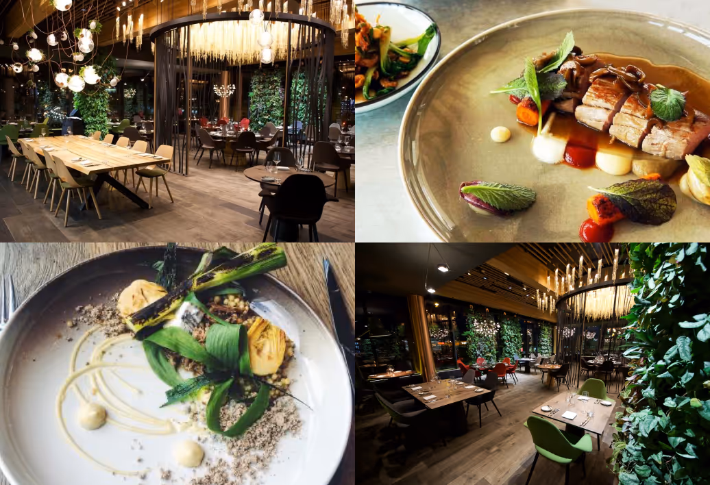 Collage of restaurant interiors with wooden floors, green and multicolored chairs, hanging lights, and two plates of gourmet food with vegetables and sauces.