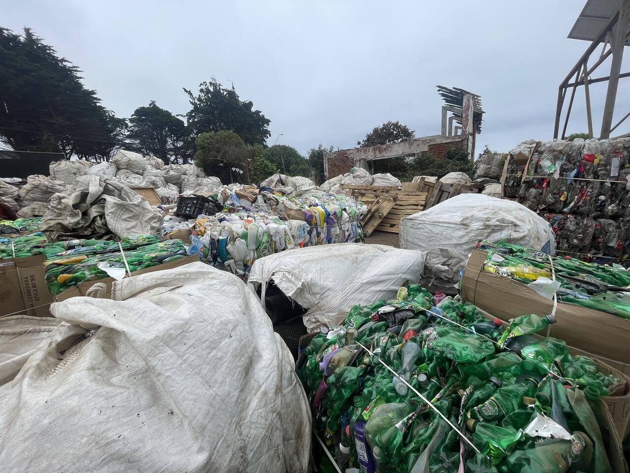 Bales of sorted and compacted plastic bottles and containers, wrapped in large white sacks and stacked in an outdoor recycling facility, with pallets and trees in the background under an overcast sky.