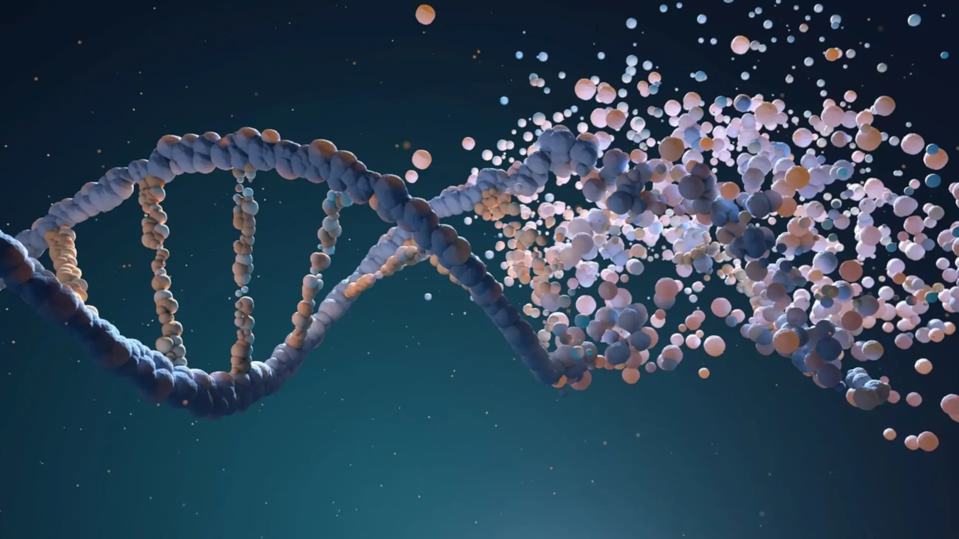 vizualizare 3D a unei gene | boli cauzate de duplicația cromozomială
