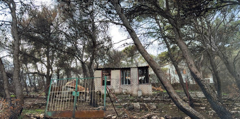 Maison brûlée dans une pinède après les incendies, région de Jijel
