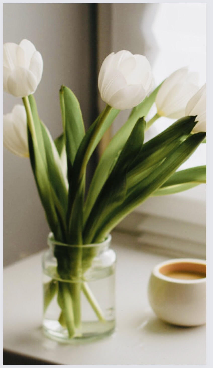 Picture of yellow and orange tulips.
