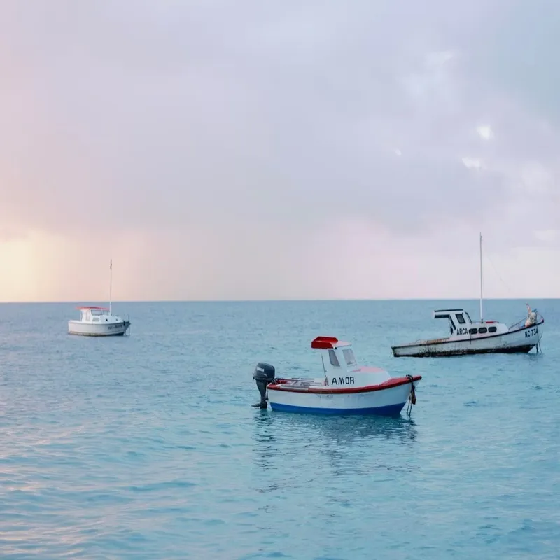 De digitale wind mee: Hoe social media uw woningverkoop op Curaçao versnelt