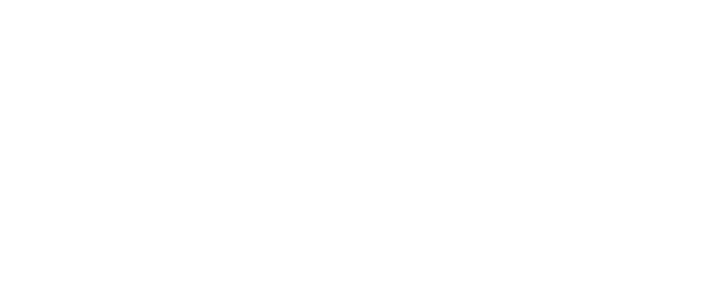 staenk logo