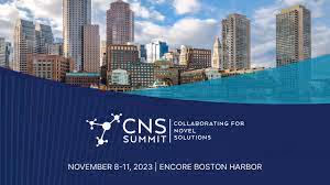 Microscopic image of a neuron cell showing its intricate structure, with dendrites extending from the cell body and axon. The cell is part of the nervous system, responsible for transmitting electrical impulses. The nucleus and cytoplasmic details are visible, highlighting the complexity of neural networks.