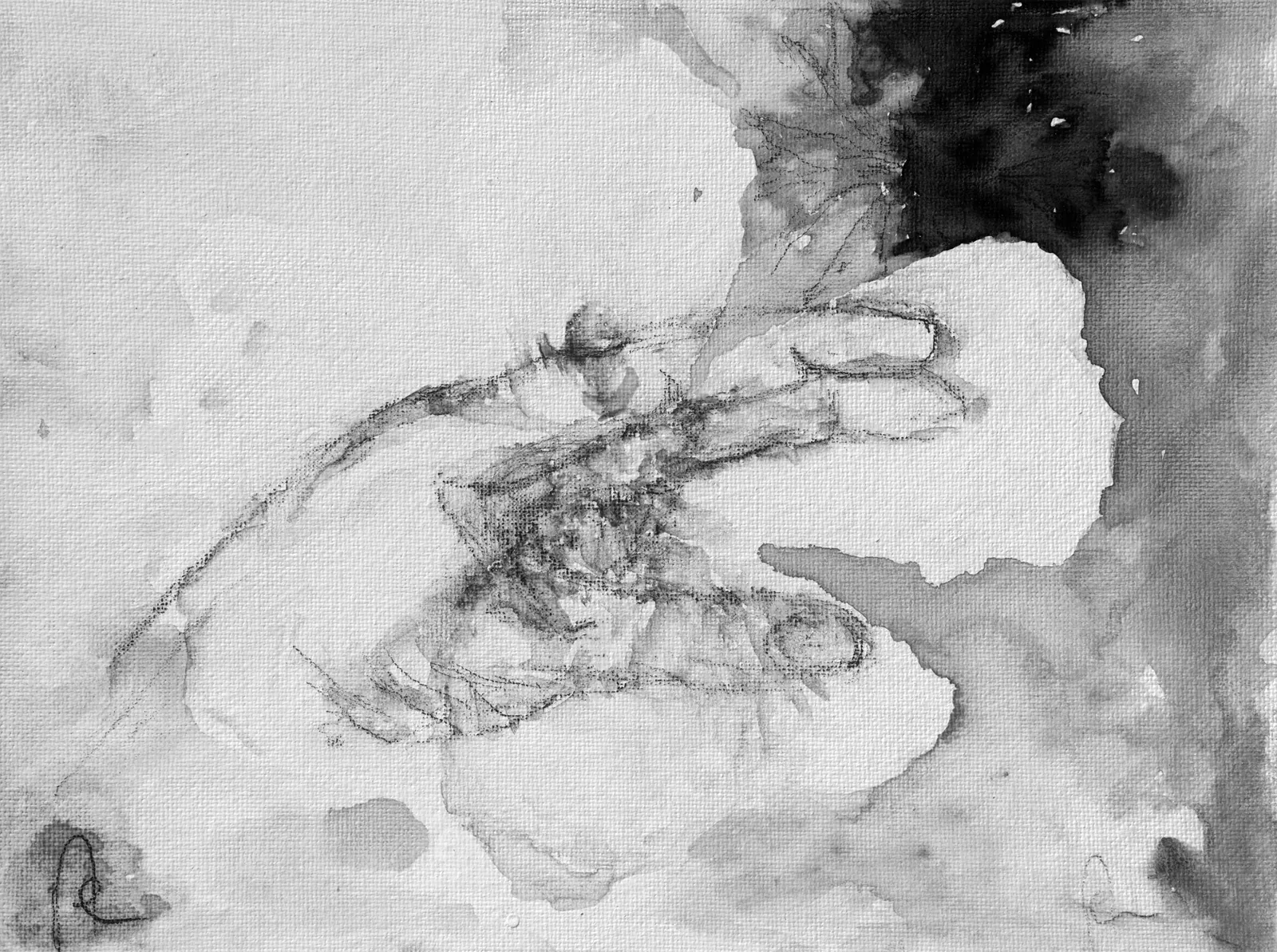 Dasselbe Aquarell im Nahinfrarot, die Bleistift-Unterzeichnung wird sichtbar