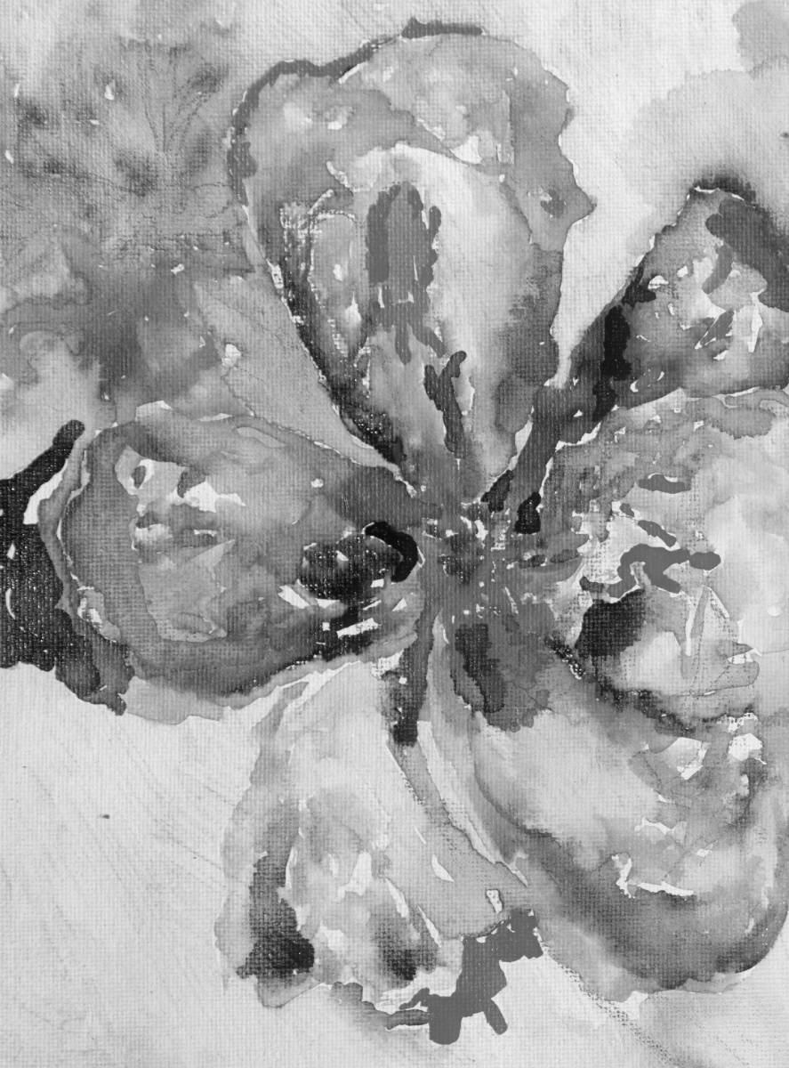 Aquarell in Graustufen