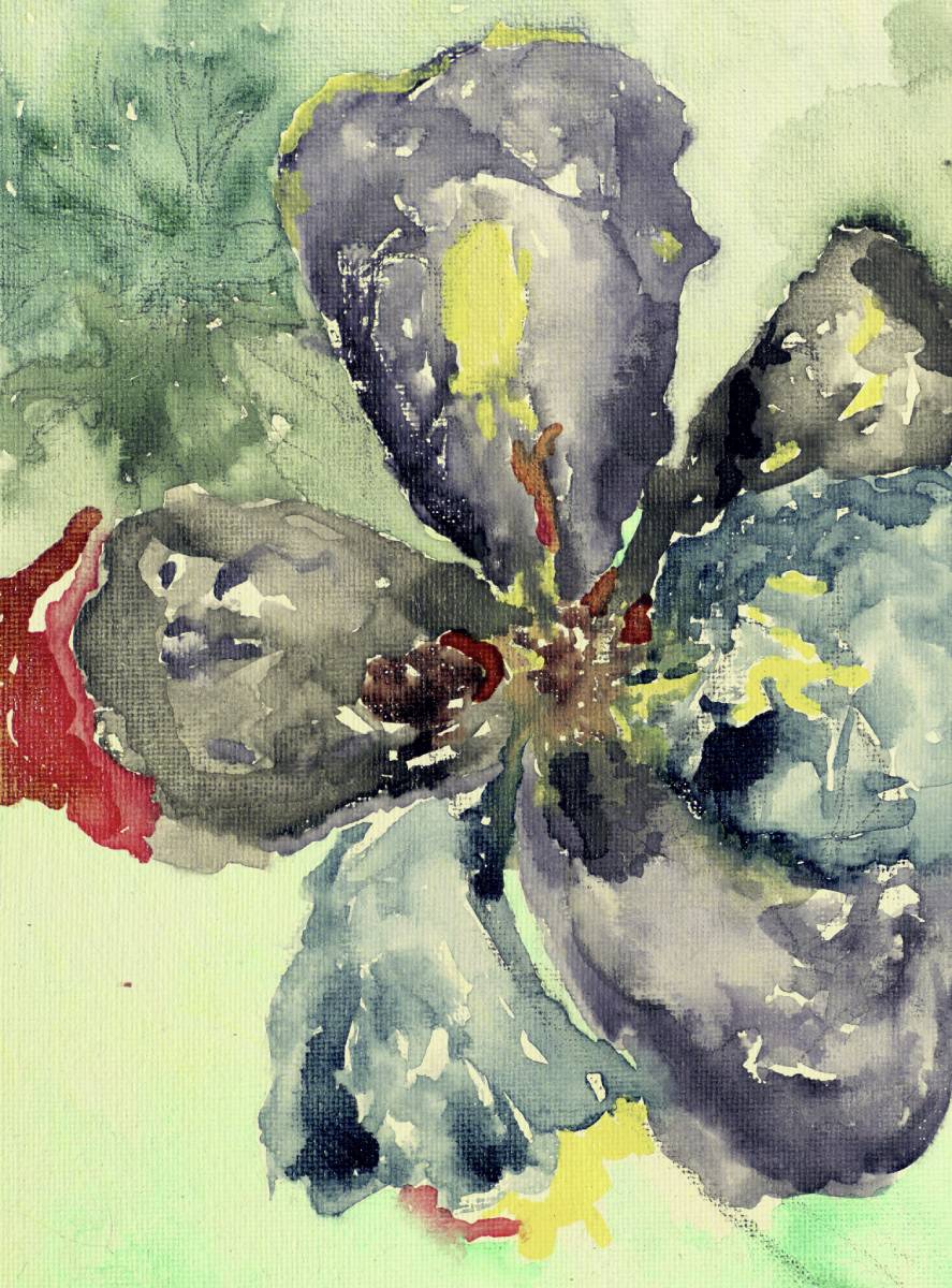 Aquarell als Infrarot-Falschfarbenbild
