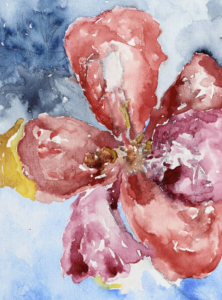 Aquarell im sichtbaren Licht
