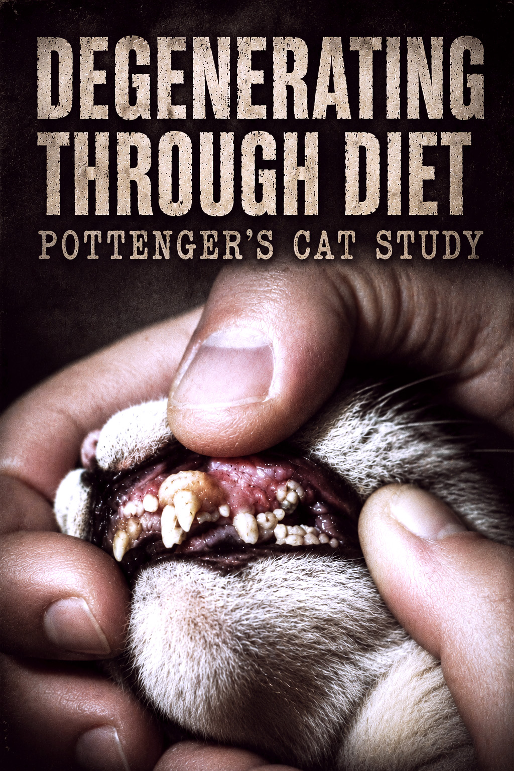 Degenerating Through Diet Pottenger Cat Study