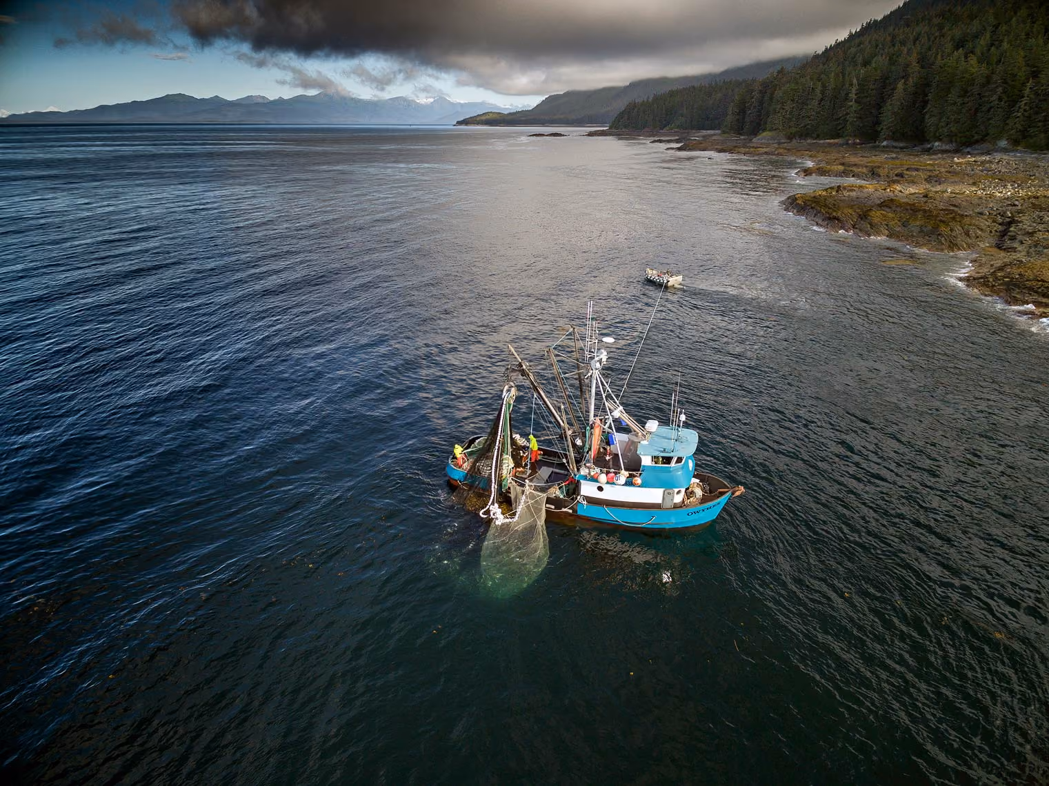 Seabird Gillnet Interaction Project