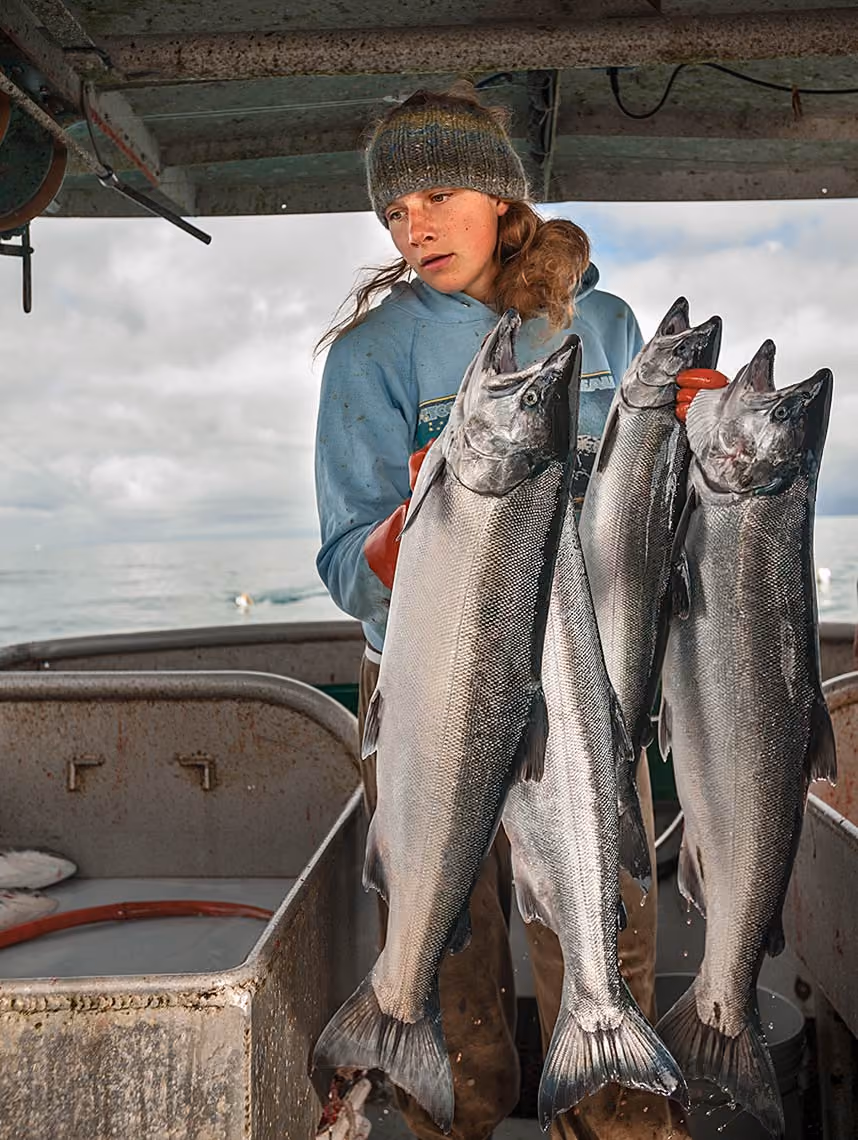 Seabird Gillnet Interaction Project