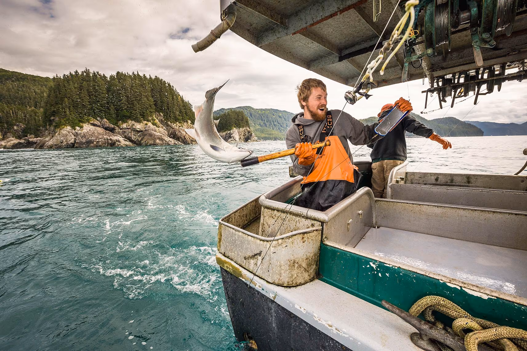 Black Cod Stomach Content Project