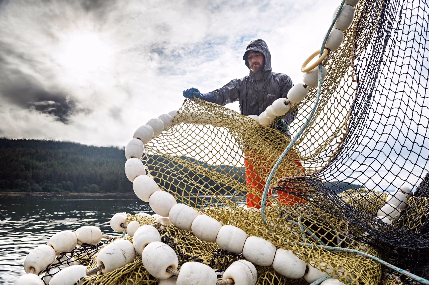 Seabird Gillnet Interaction Project