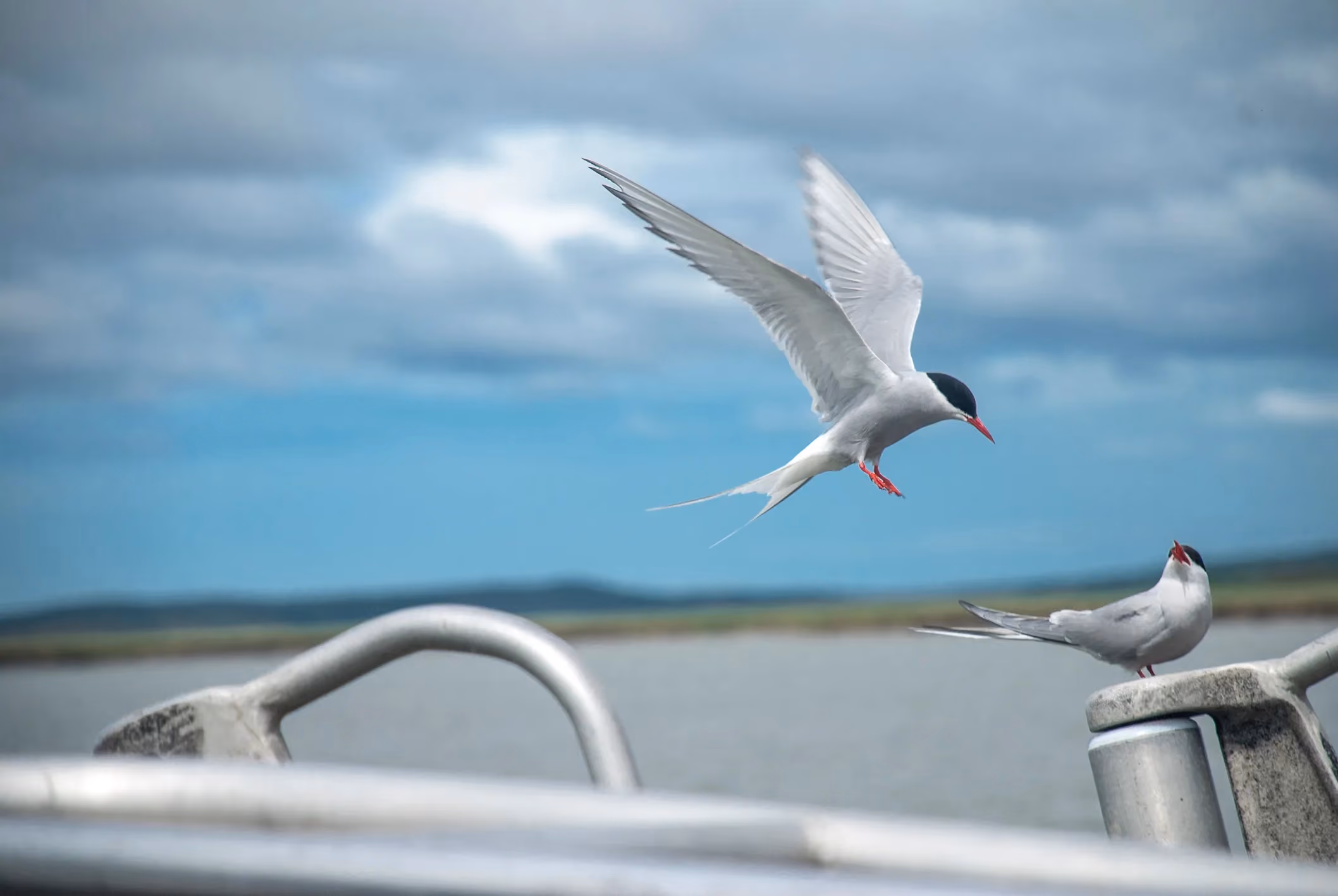 St. Paul Island Fleet: Central Bering Sea Fishermen's Association (CBSFA)