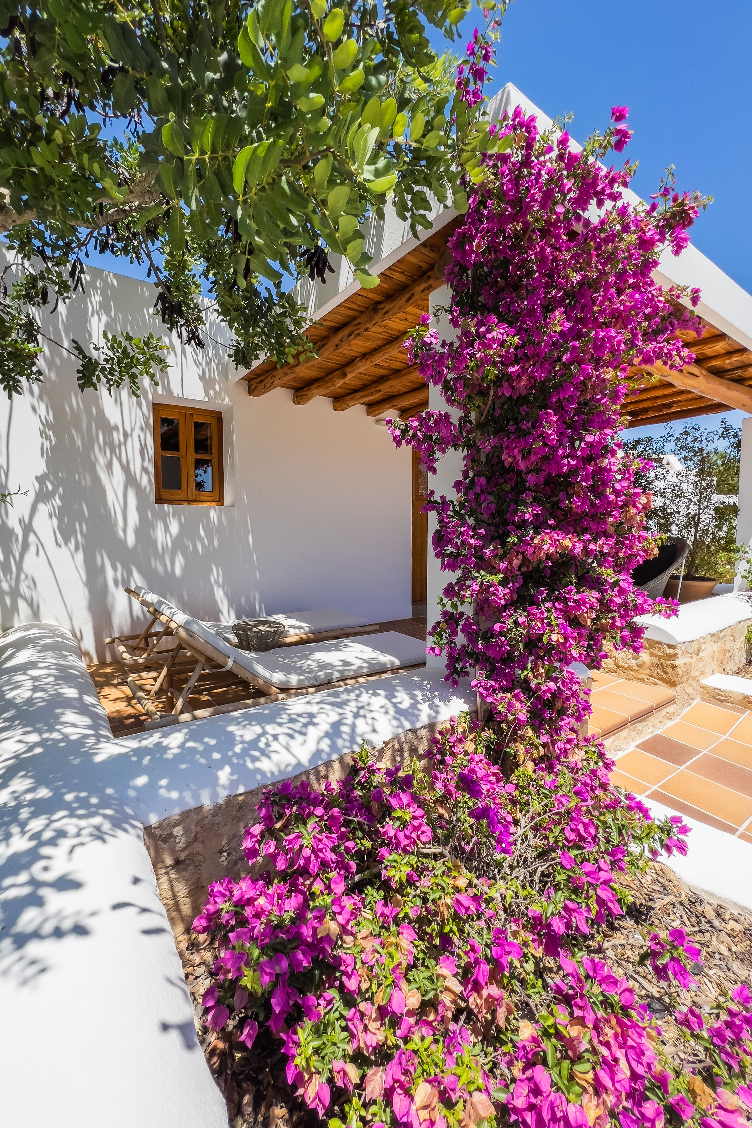 afffect - photo agence de communication hunity