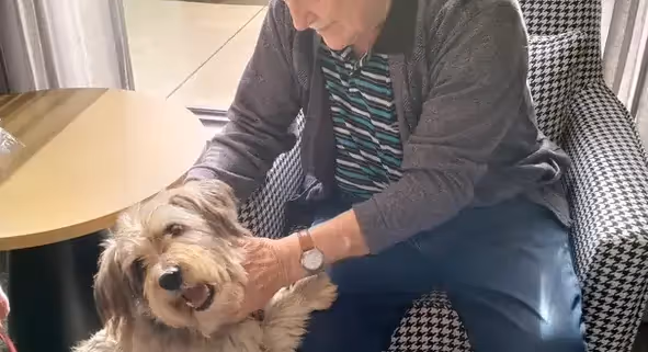 Oxa Care's emergency respite care staff holding hand of resident