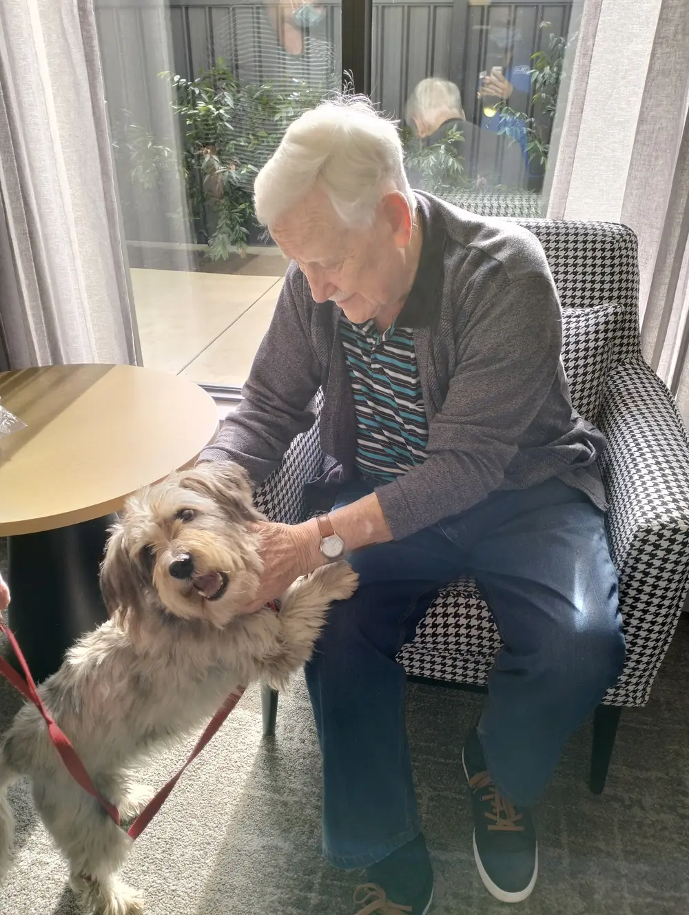 Elderly Serbian man sitting in a chair, smiling as he pets a small dog on a red leash.