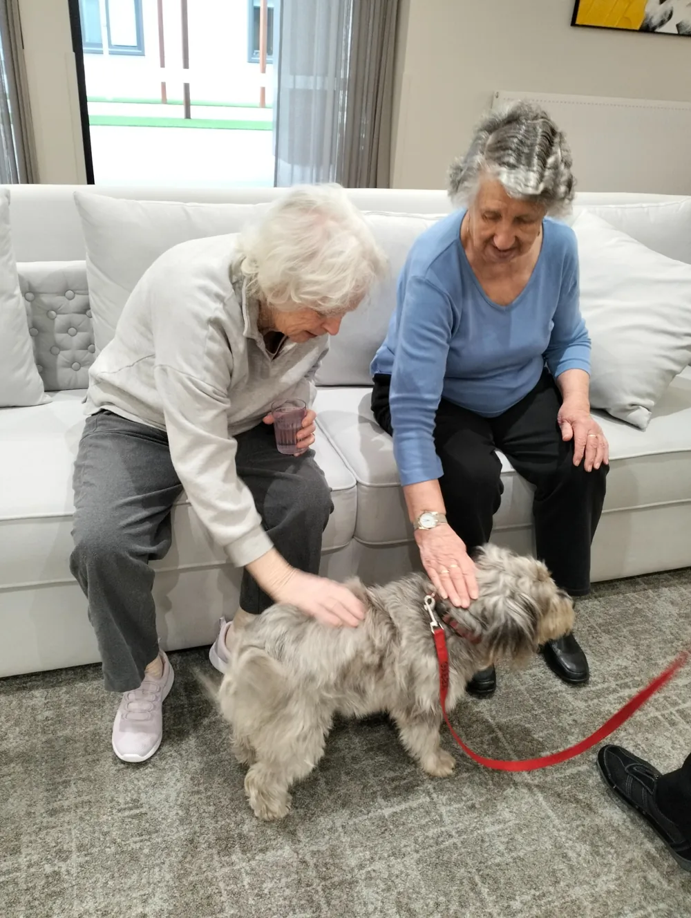 Two elderly Russian women sitting on a couch, smiling as they pet a small grey dog on a red leash.