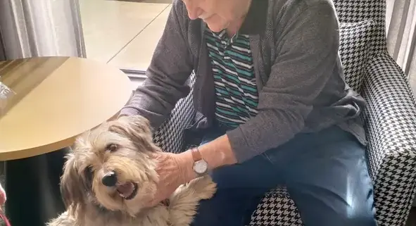 An elderly male petting a dog during their leisure time. 