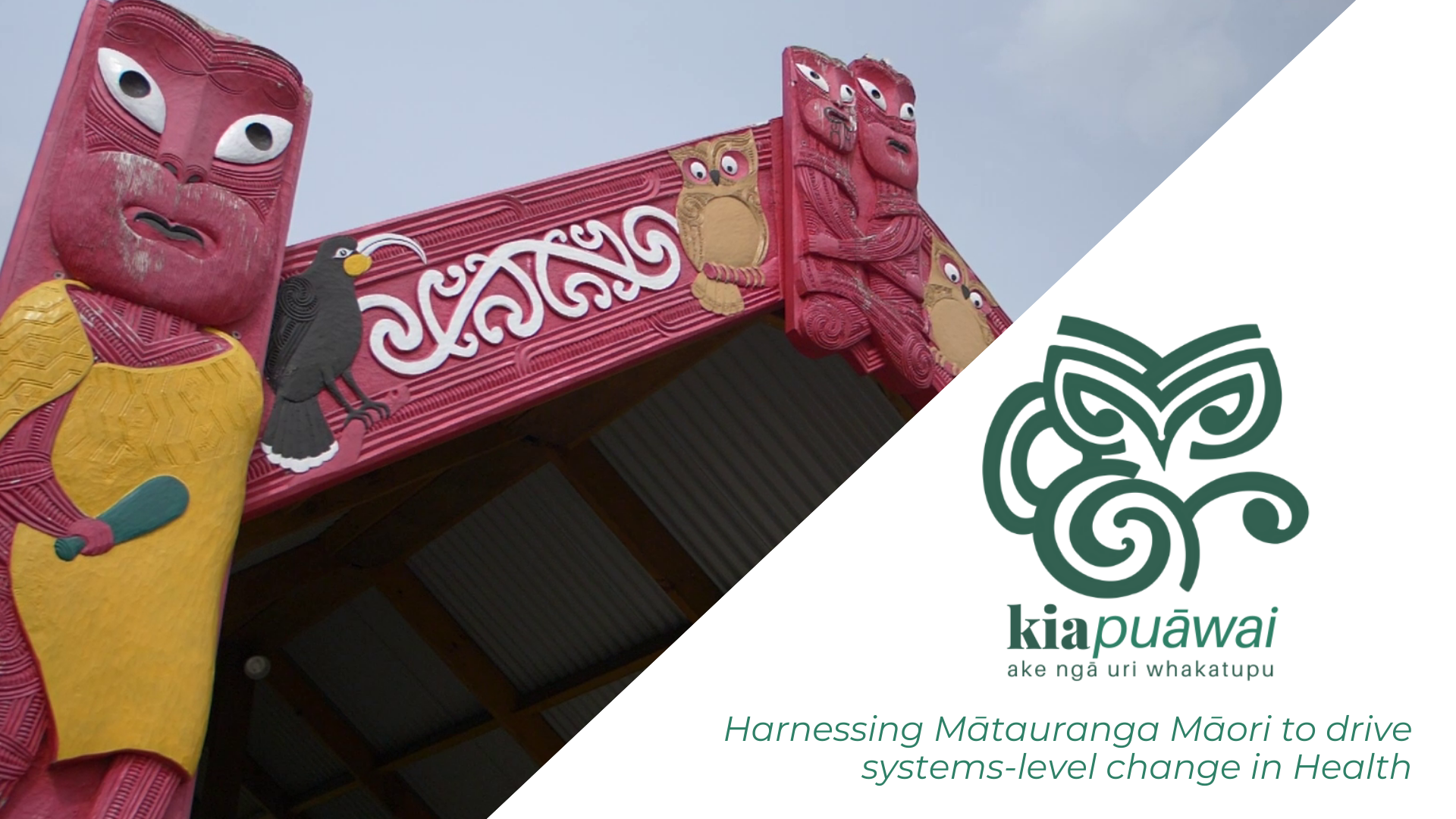 Kia Puāwai research programme enters its final year