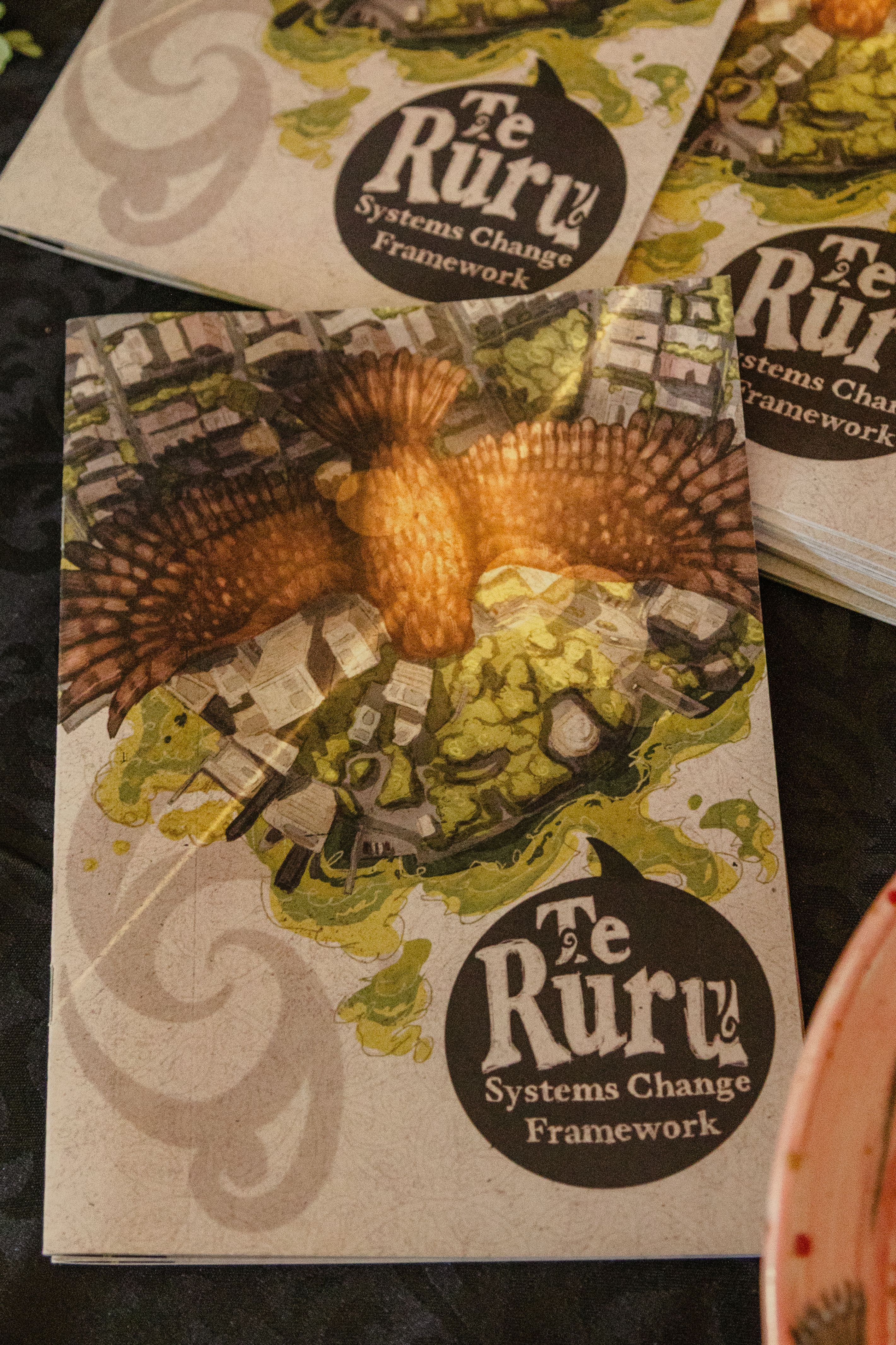 Project outputs for TUI: Te Ruru - Systems change framework (Comic Book)