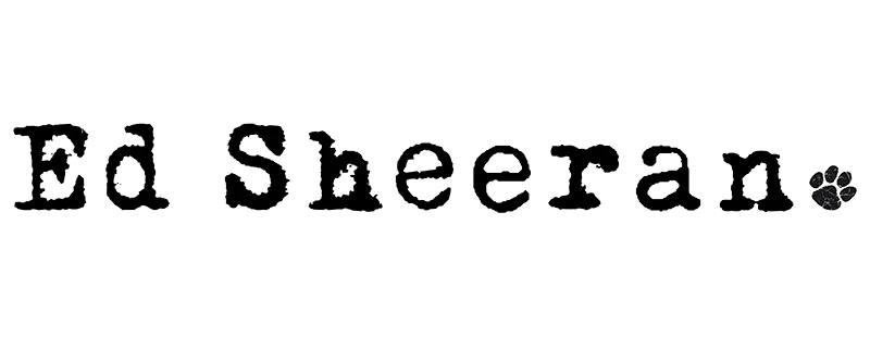 Emil Dax Sheeran Konzert