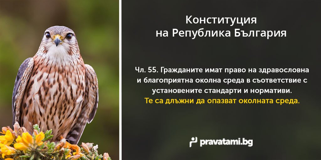 konstituciq na republika bulgaria chlen 36-2