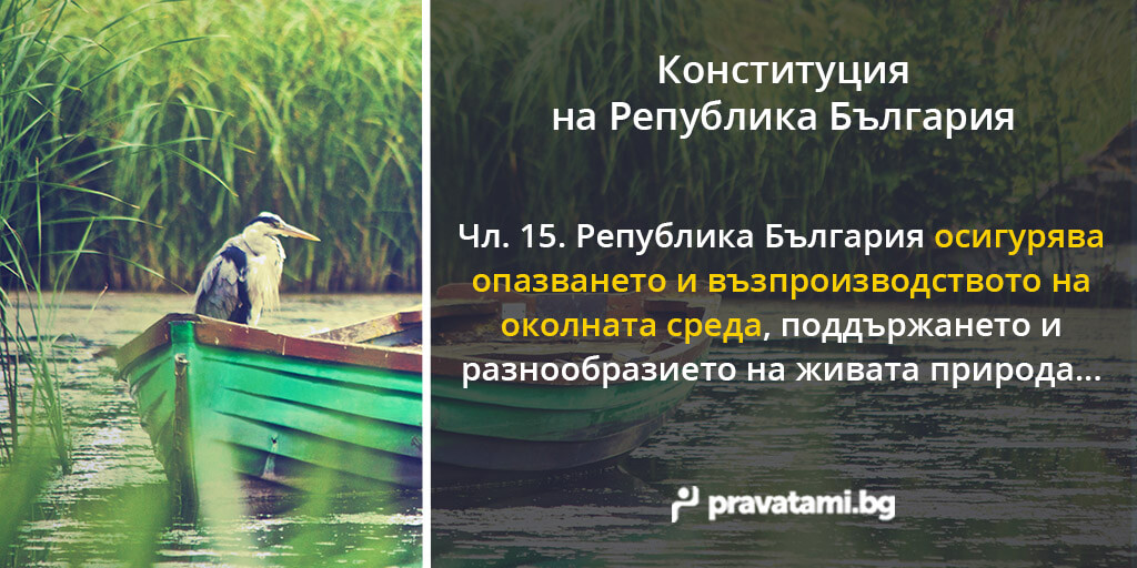 konstituciq na republika bulgaria chlen 15