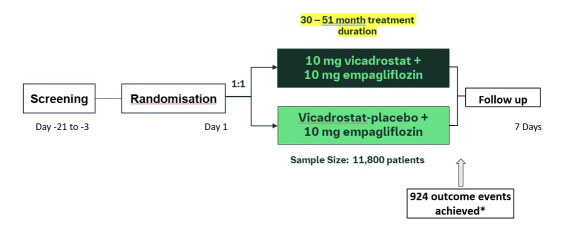 Studiedesign: screening, randomisering og behandling med vicadrostat og empagliflozin (Boehringer-studie)