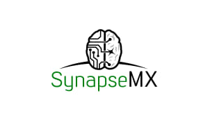 Synapse Mx – Seed AI/ML/Big Data Pitch Deck