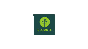 Sequoia Pitchdeck aus den USA, 2018