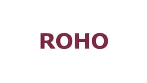Roho – Seed EdTech Pitch Deck