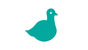 Pijon – Seed Community Pitch Deck