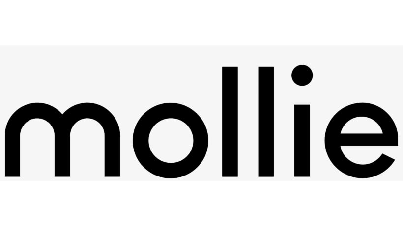 Mollie – Series B Fintech Pitch Deck
