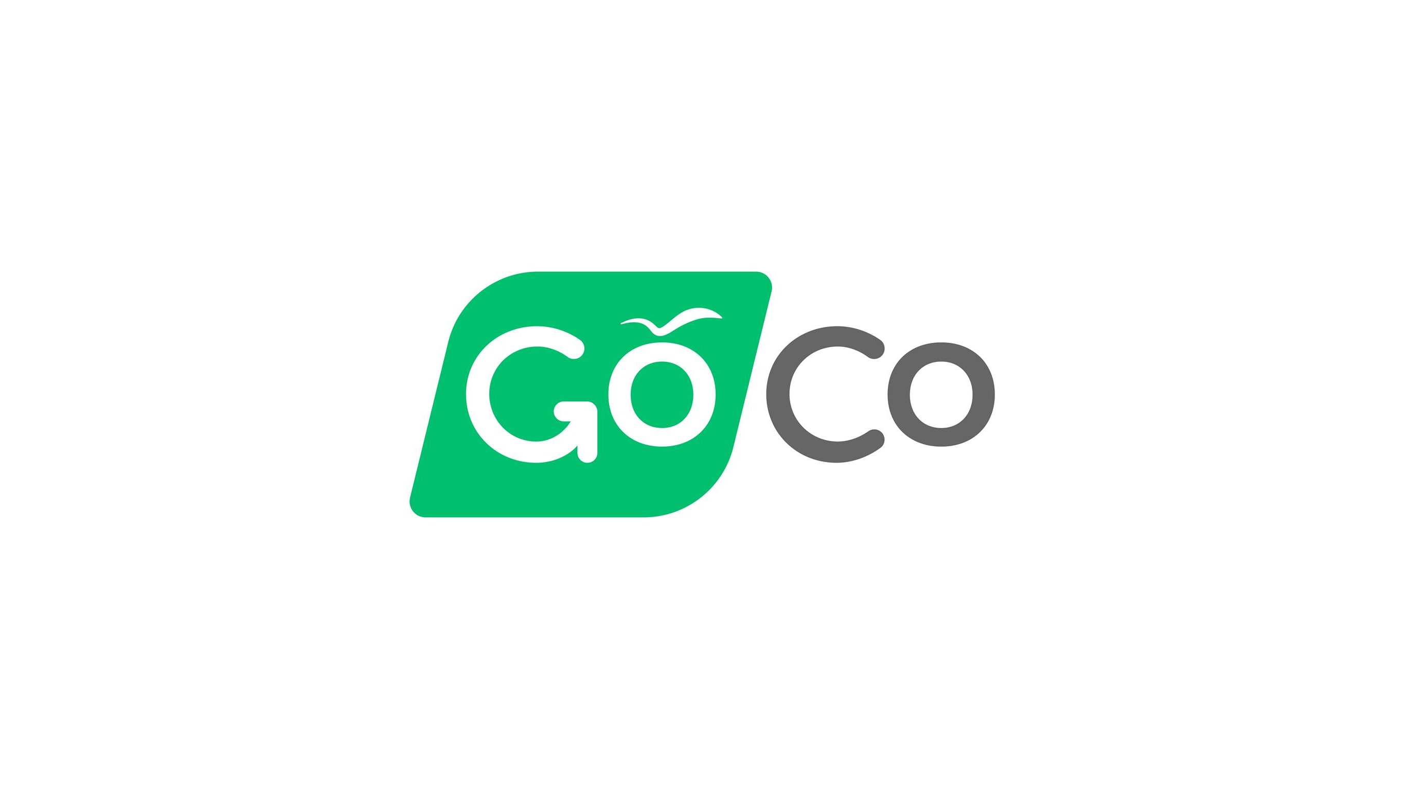 GoCo Group – Fintech Pitch Deck