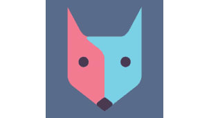 Fox Type – Seed Internet Pitch Deck