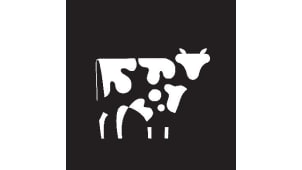 Copper Cow Coffee – Seed Lifestyle Pitch Deck