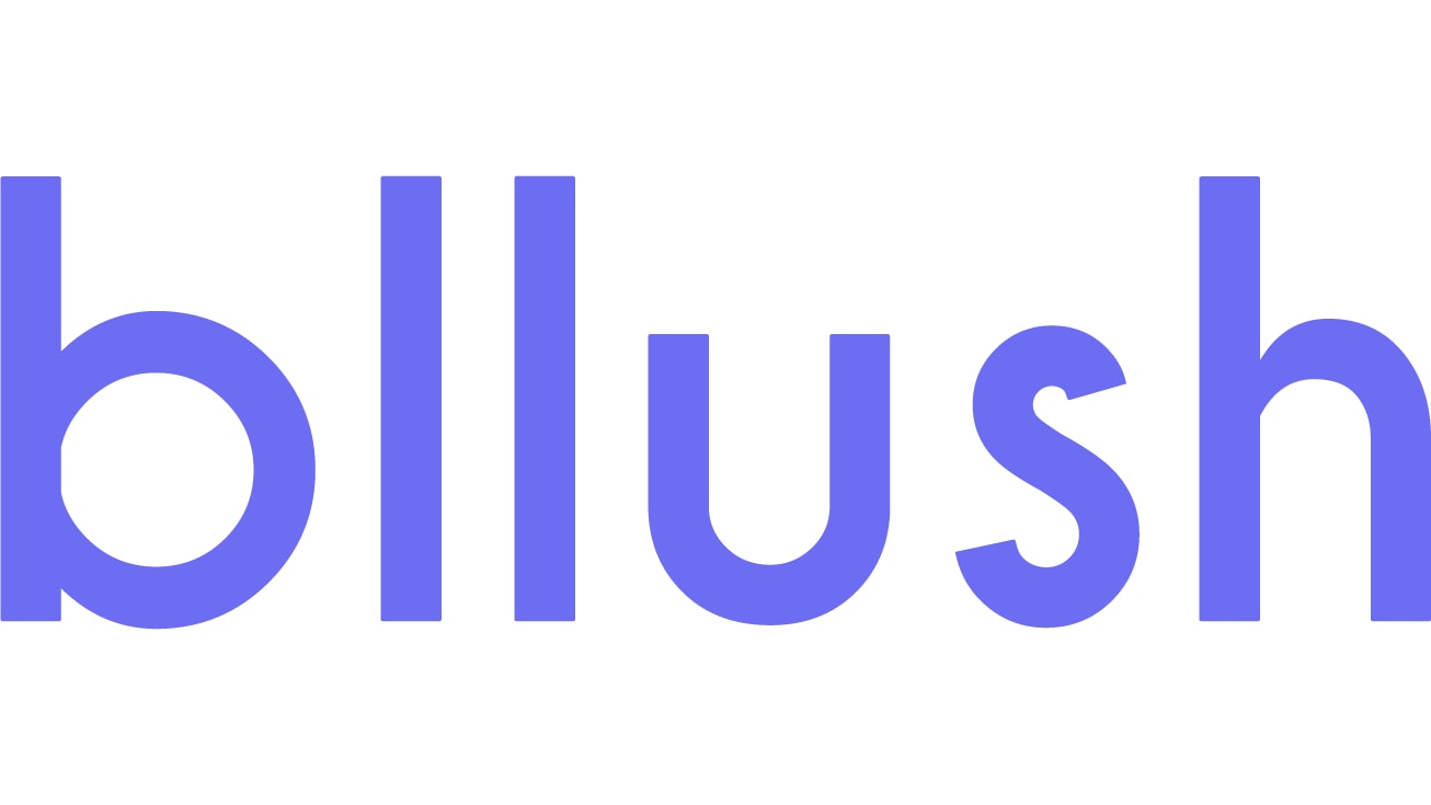 Bllush – Seed AdTech & MarTech Pitch Deck