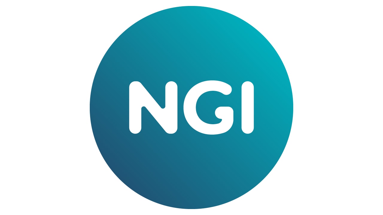 Next Generation Internet