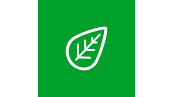 RootCamp