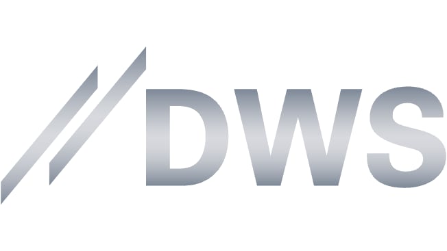 DWS investment