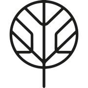 Society of Lifestyle