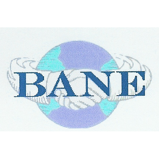 BANE – Business Angel Network Europe