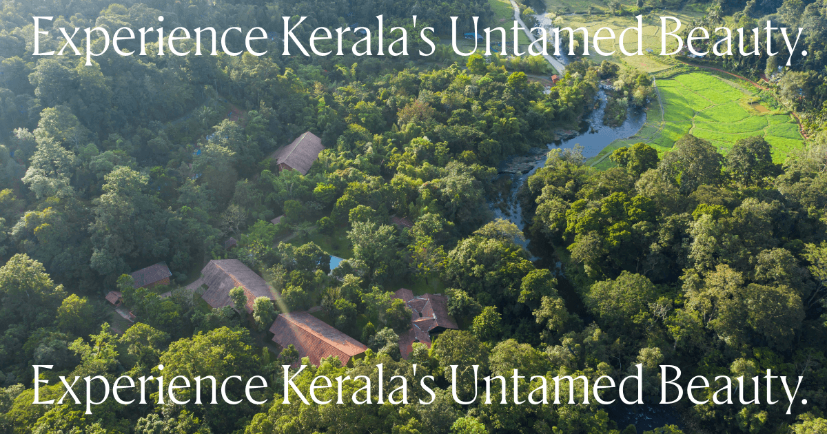 Klov Jungle Resort Thirunelli — Jungle resort and spa in Mananthavady