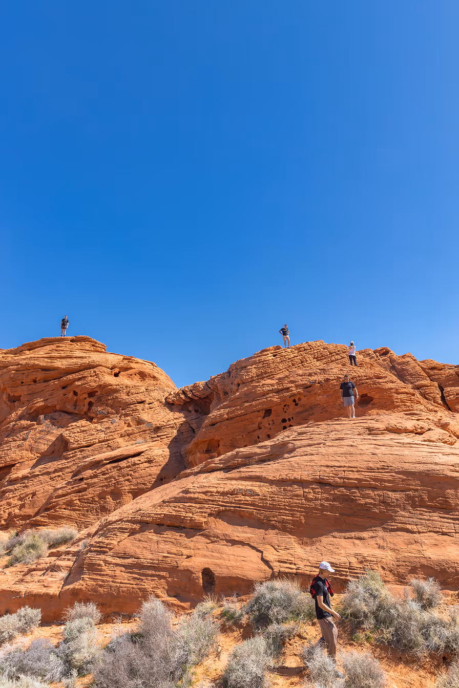 btrmedia amazing team