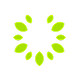 QFEX