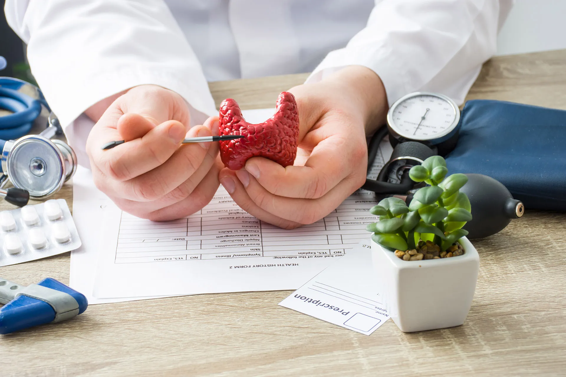 Endocrinology
