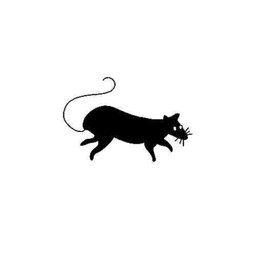 Cute little rat tattoo from our Brooklyn Collection.