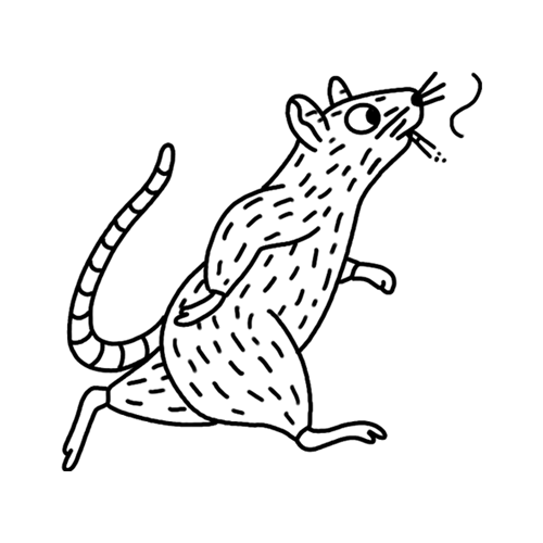 Running rat enjoying a cig. He's a New Yorker. Design from our Brooklyn Collection.